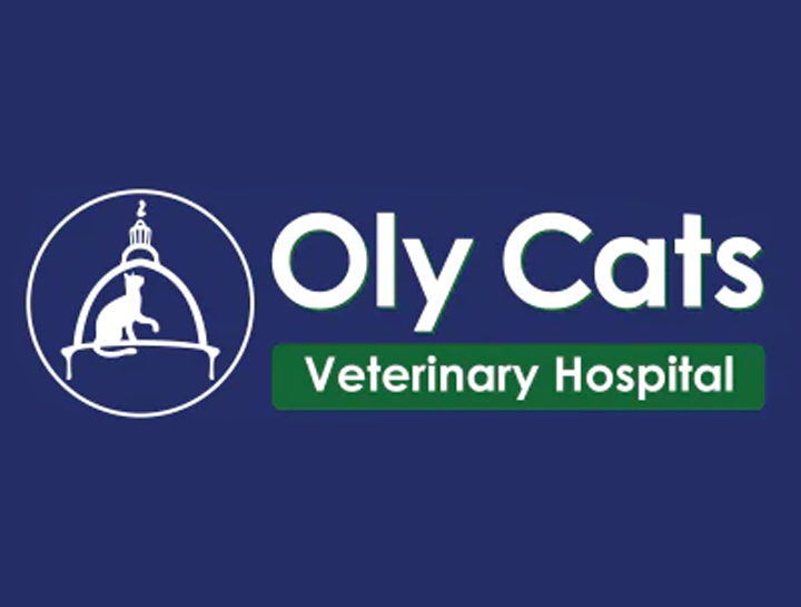 Looking for a Fear Free clinic for your feline friend?